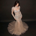 Silver and Nude Illusion Mesh Evening Gown - Geometric Sequin Long-Sleeve formal Dress