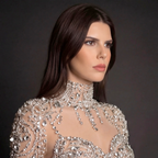 Silver and Nude Illusion Mesh Evening Gown - Geometric Sequin Long-Sleeve formal Dress