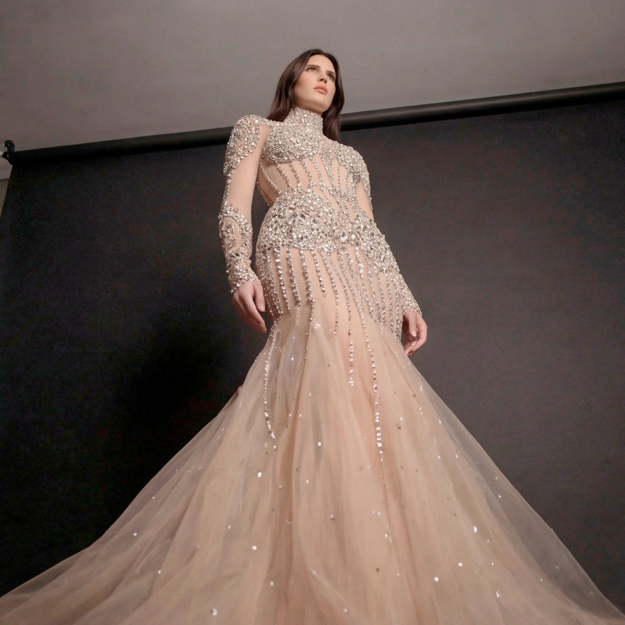Silver and Nude Illusion Mesh Evening Gown - Geometric Sequin Long-Sleeve formal Dress