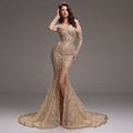 Nude Gold Off-Shoulder Mermaid Gown with Illusion Long Sleeves, Sheer Corset Bodice, Crystal Embellishments and High Slit Train