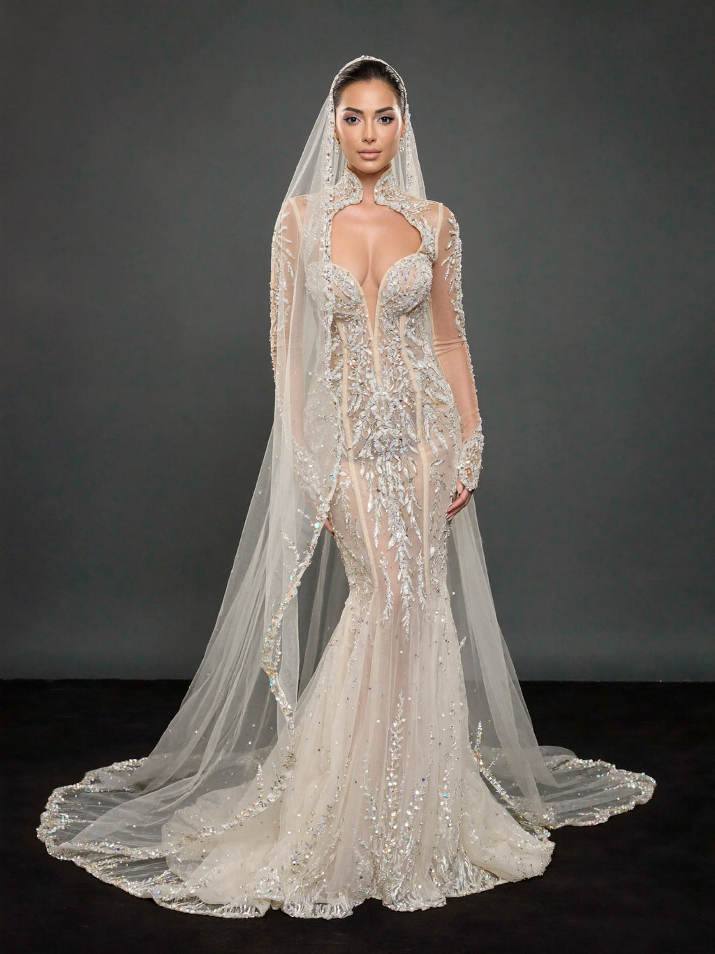 Ivory Crystal Embellished Mermaid Wedding Dress & Cathedral Veil – Sheer Long Sleeve Corset Bridal Gown with Cathedral Veil