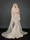 Ivory Crystal Embellished Mermaid Wedding Dress & Cathedral Veil – Sheer Long Sleeve Corset Bridal Gown with Cathedral Veil