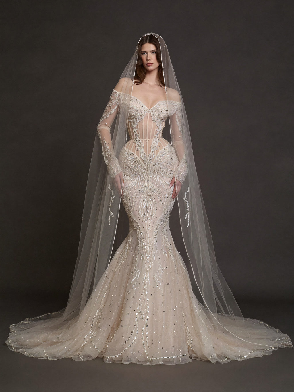 Nude Illusion Corset Mermaid Wedding Dress – Off-Shoulder Crystal Embroidered Bridal Gown with Sheer Long Sleeves and Cathedral Veil