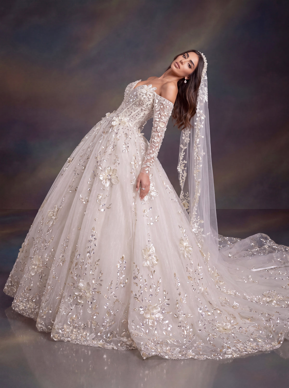 Ivory 3D Floral Embellished Ball Gown Wedding Dress & Cathedral Veil  – Corset Bridal Gown with Long Sleeves & Cathedral Veil