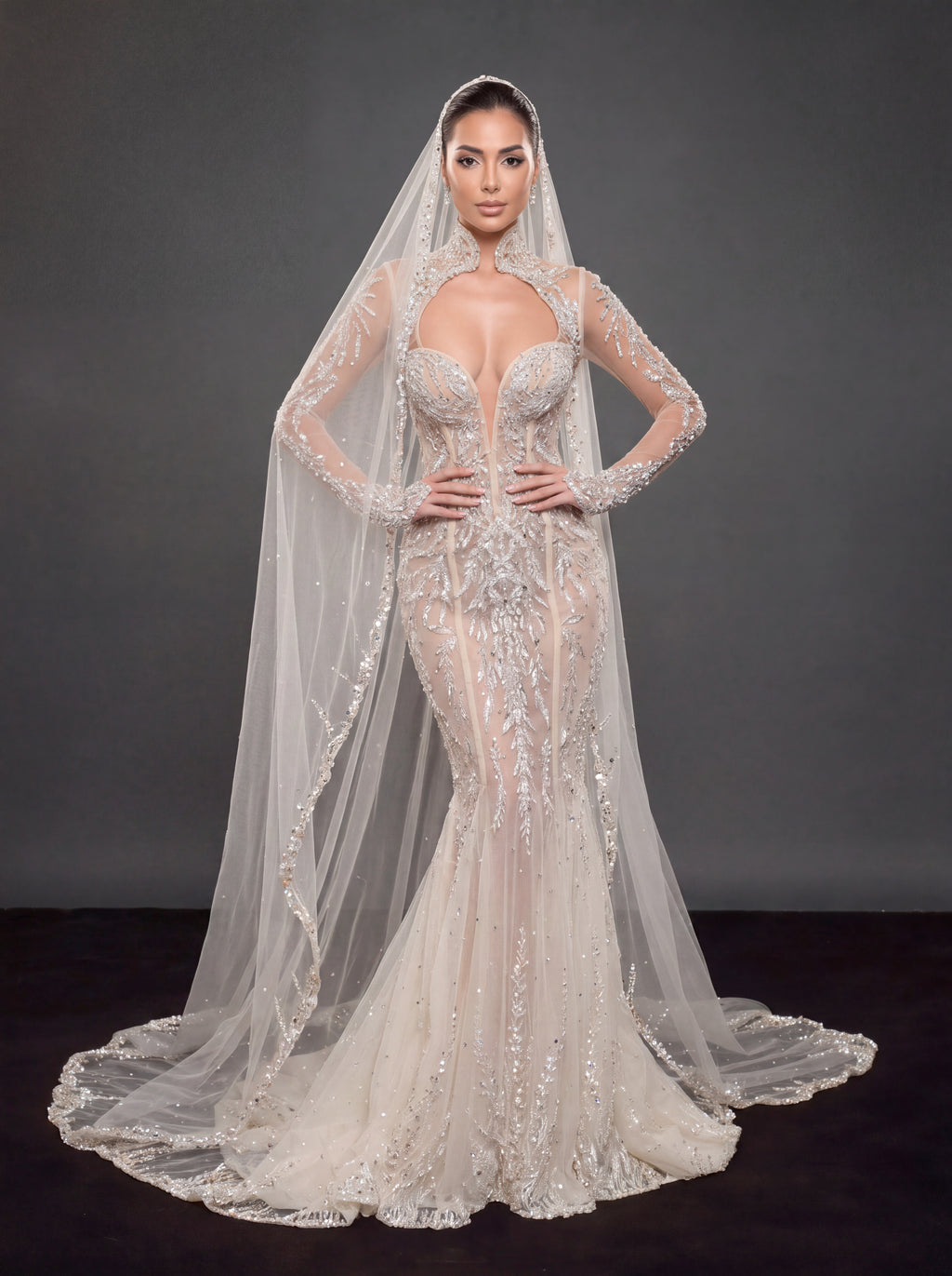 Ivory Crystal Embellished Mermaid Wedding Dress & Cathedral Veil – Sheer Long Sleeve Corset Bridal Gown with Cathedral Veil