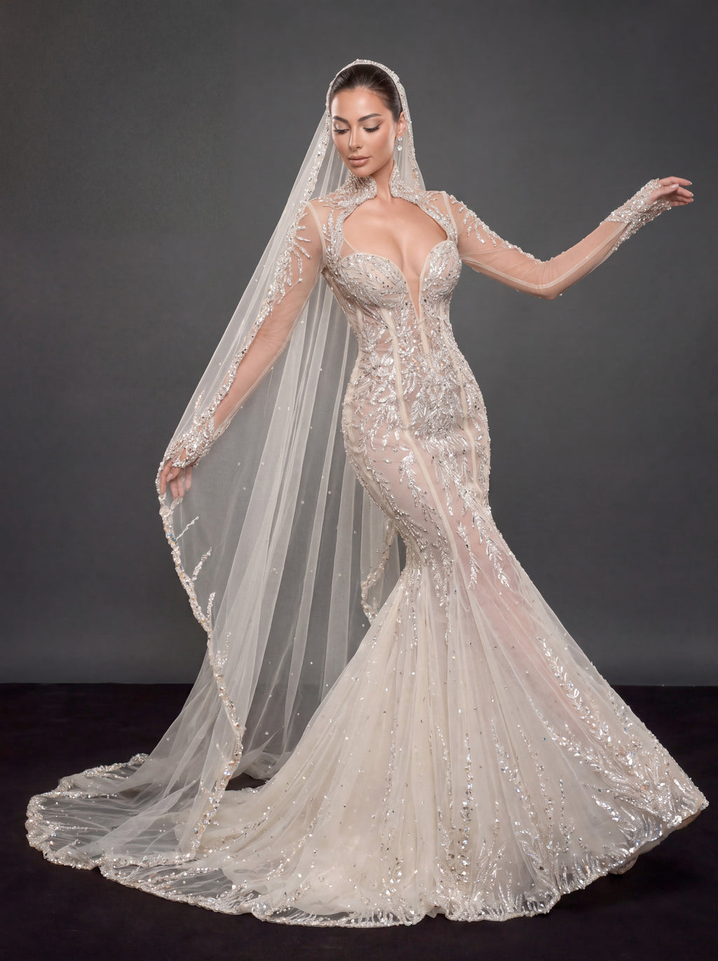 Ivory Crystal Embellished Mermaid Wedding Dress & Cathedral Veil – Sheer Long Sleeve Corset Bridal Gown with Cathedral Veil