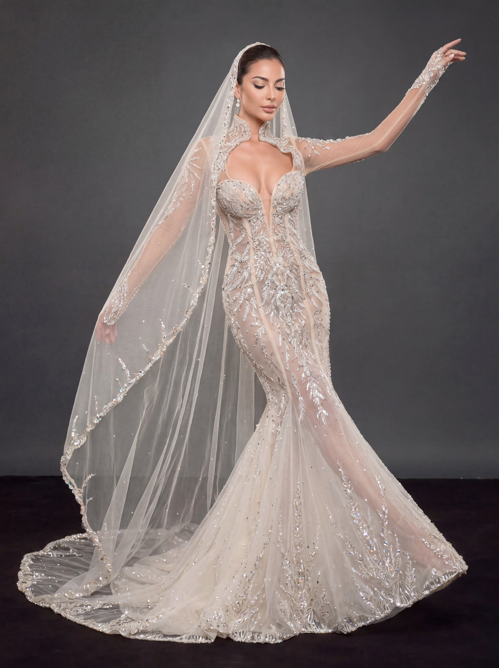 Ivory Crystal Embellished Mermaid Wedding Dress & Cathedral Veil – Sheer Long Sleeve Corset Bridal Gown with Cathedral Veil