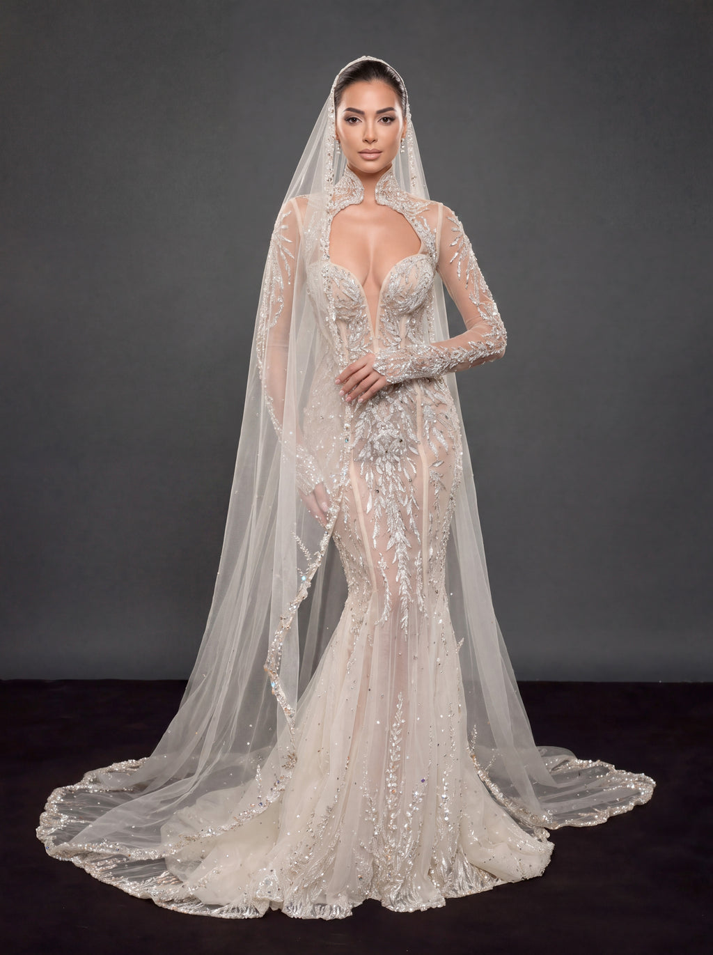 Ivory Crystal Embellished Mermaid Wedding Dress & Cathedral Veil – Sheer Long Sleeve Corset Bridal Gown with Cathedral Veil