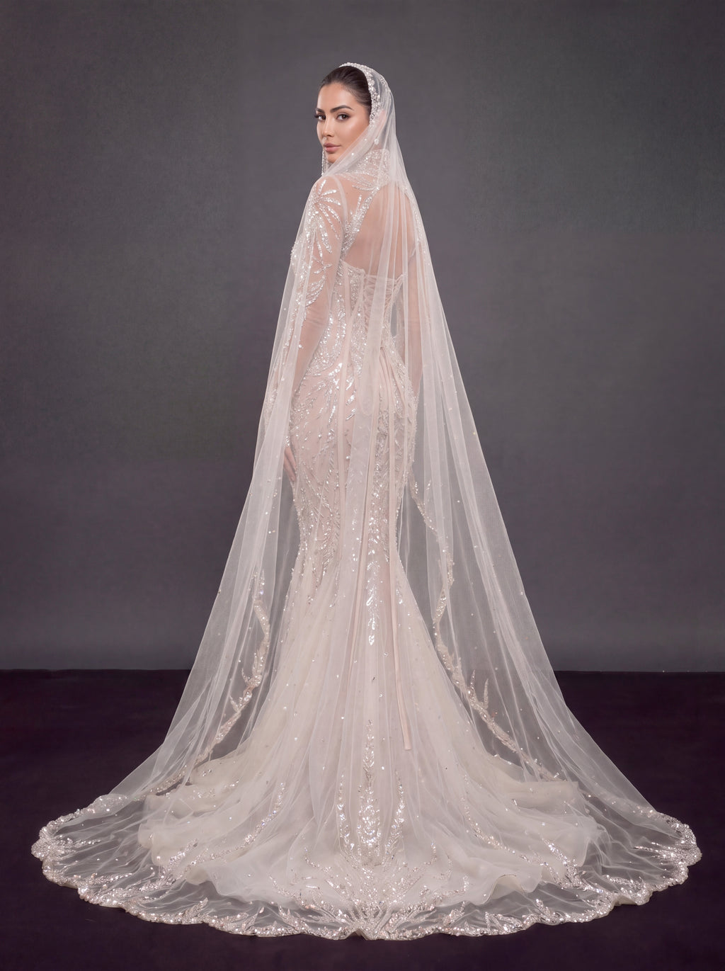 Ivory Crystal Embellished Mermaid Wedding Dress & Cathedral Veil – Sheer Long Sleeve Corset Bridal Gown with Cathedral Veil