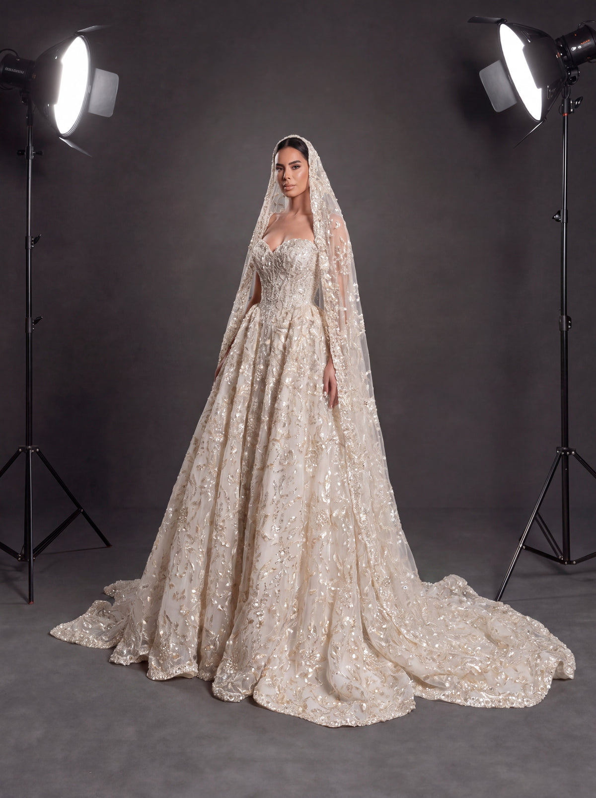 Champagne Ivory 3D Floral Embellished Ball Gown Wedding Dress – Corset Bridal Gown with Cathedral Train & Veil