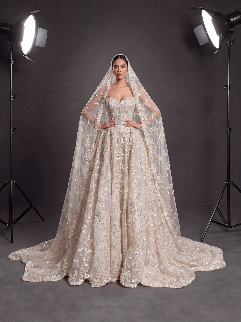 Champagne Ivory 3D Floral Embellished Ball Gown Wedding Dress – Corset Bridal Gown with Cathedral Train & Veil