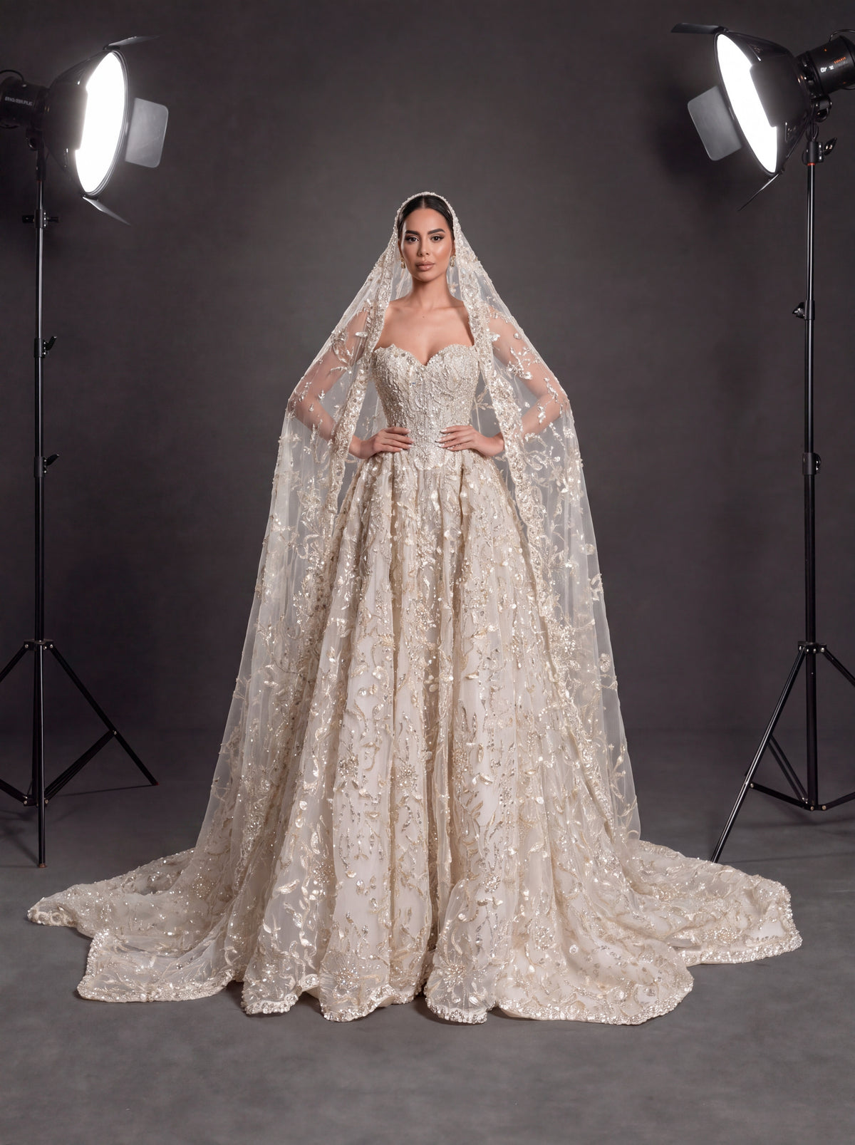 Champagne Ivory 3D Floral Embellished Ball Gown Wedding Dress – Corset Bridal Gown with Cathedral Train & Veil