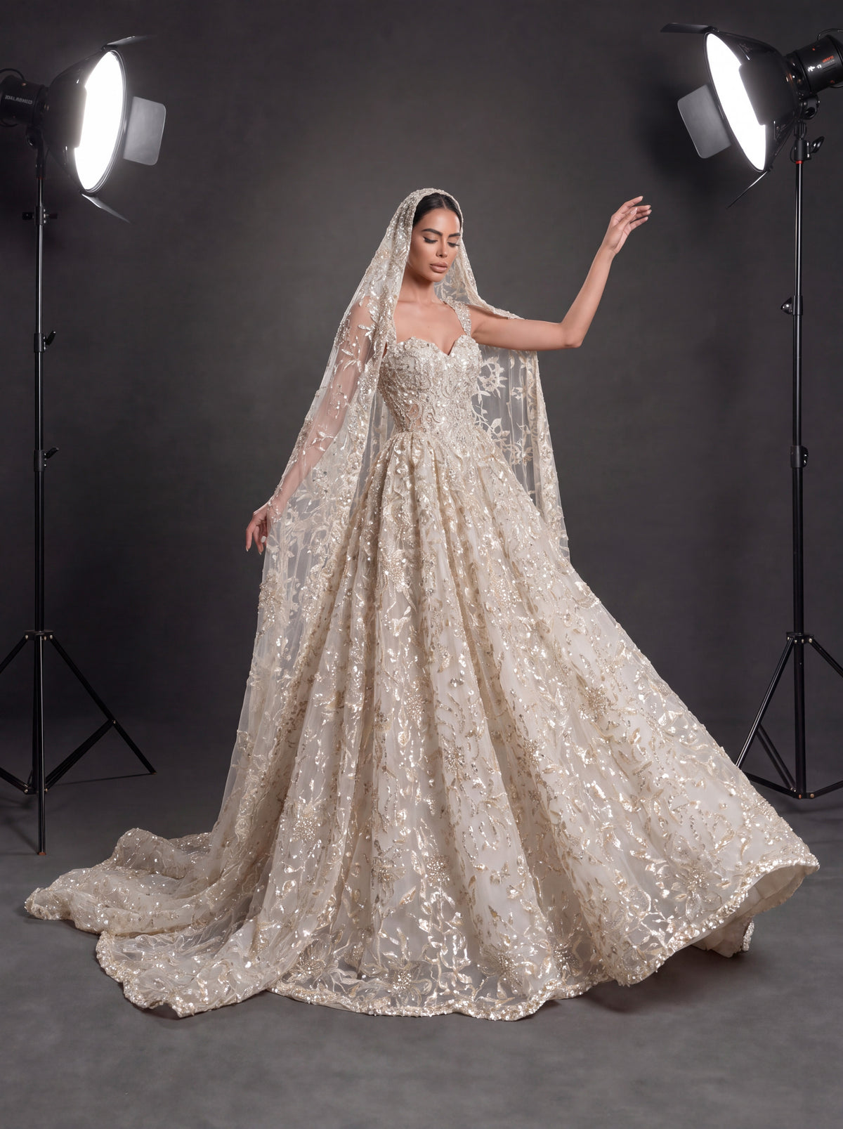 Champagne Ivory 3D Floral Embellished Ball Gown Wedding Dress – Corset Bridal Gown with Cathedral Train & Veil