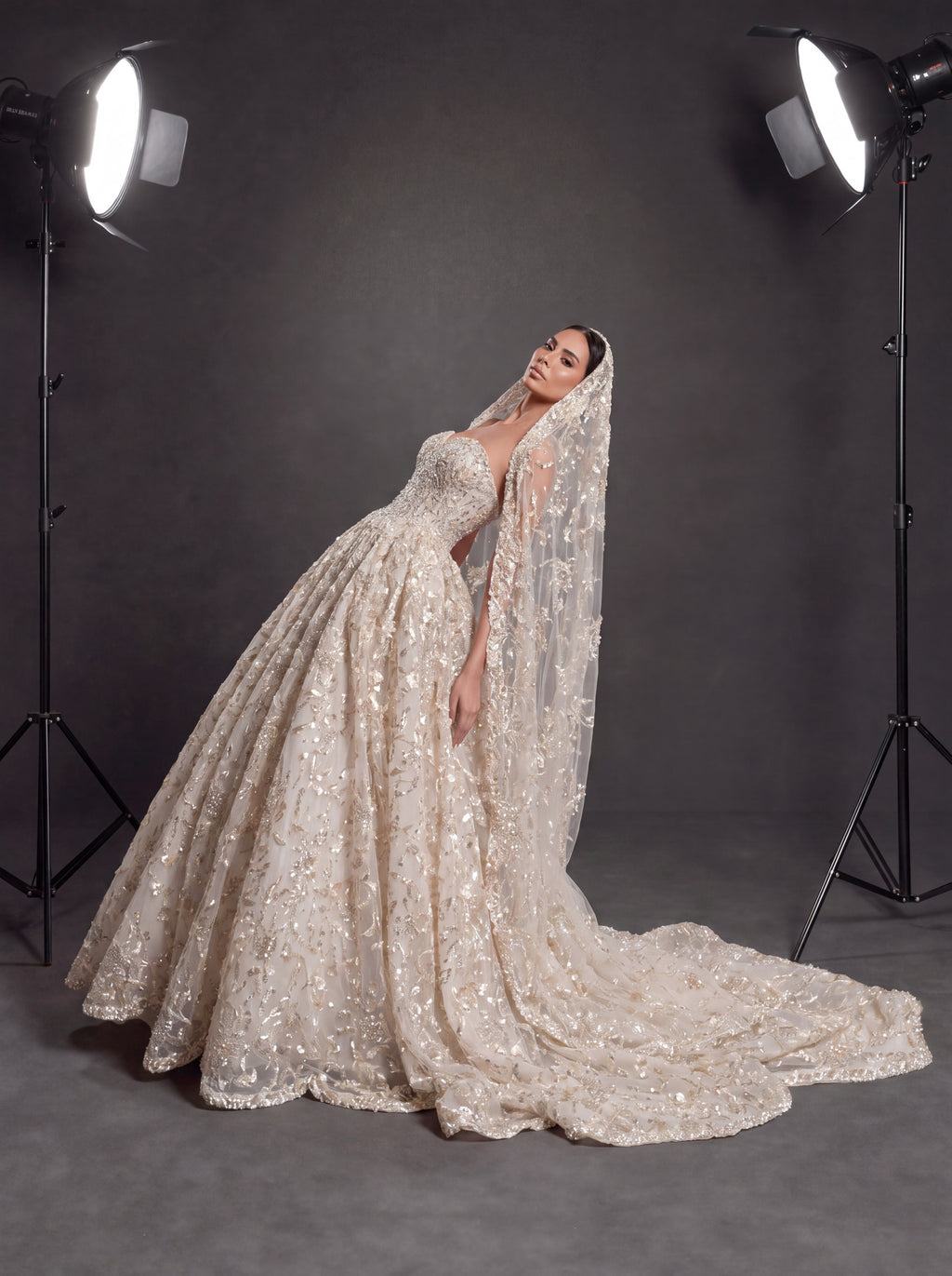 Champagne Ivory 3D Floral Embellished Ball Gown Wedding Dress – Corset Bridal Gown with Cathedral Train & Veil