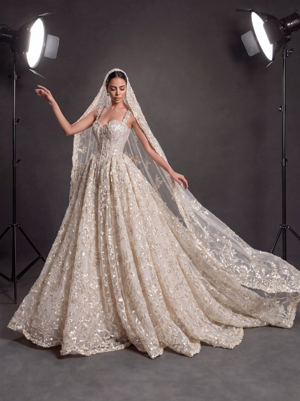 Champagne Ivory 3D Floral Embellished Ball Gown Wedding Dress – Corset Bridal Gown with Cathedral Train & Veil