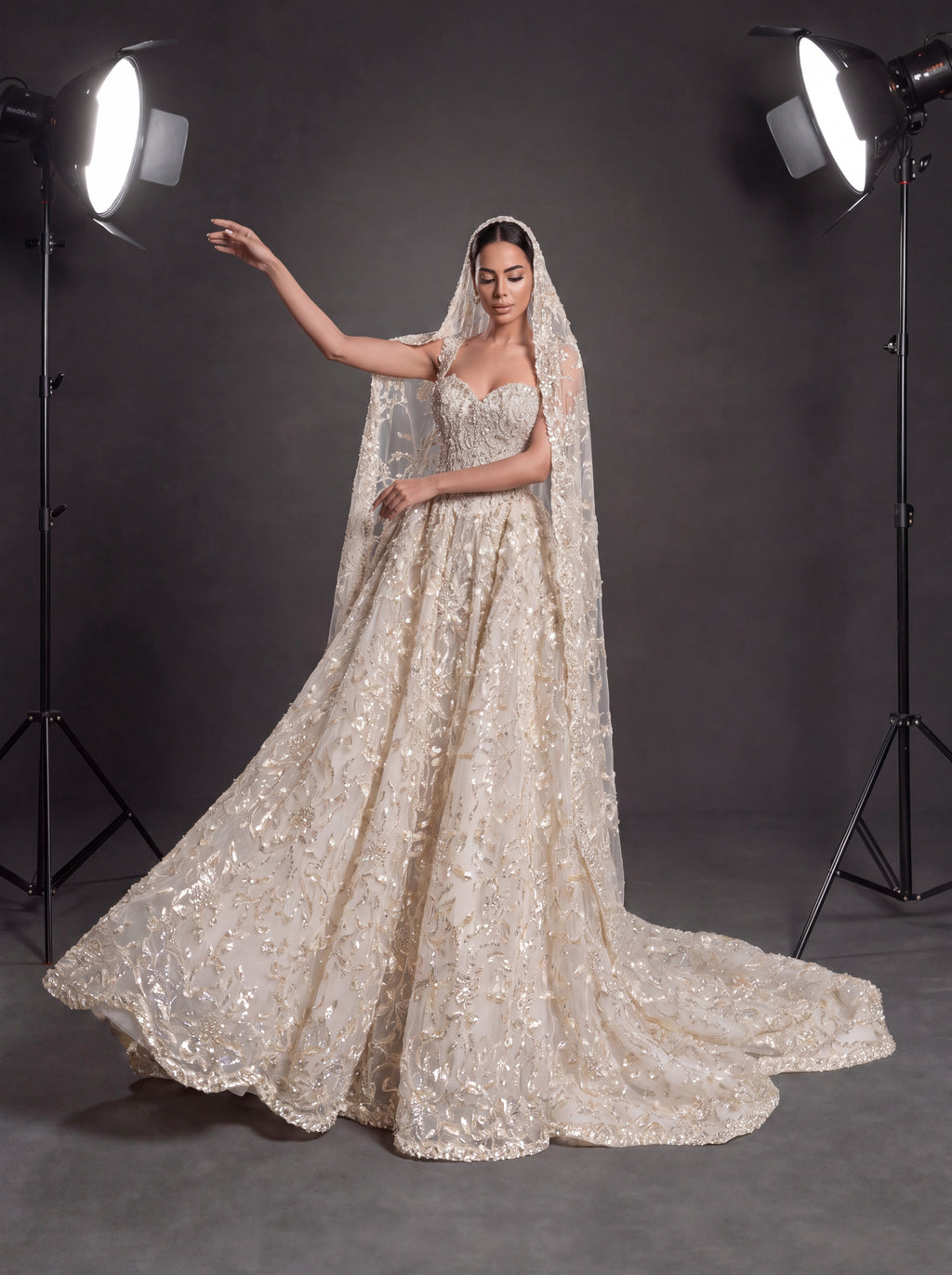 Champagne Ivory 3D Floral Embellished Ball Gown Wedding Dress – Corset Bridal Gown with Cathedral Train & Veil