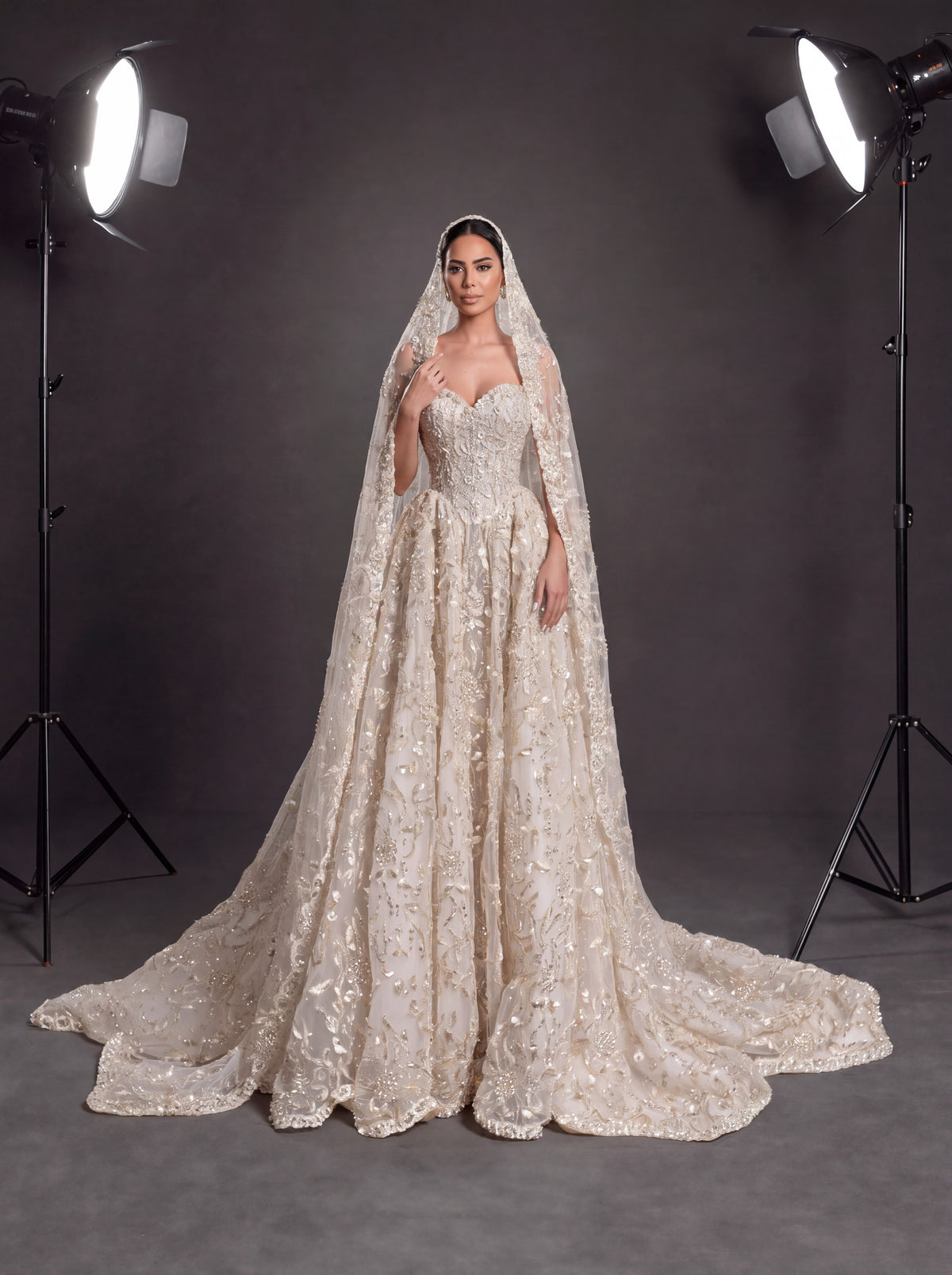 Champagne Ivory 3D Floral Embellished Ball Gown Wedding Dress – Corset Bridal Gown with Cathedral Train & Veil