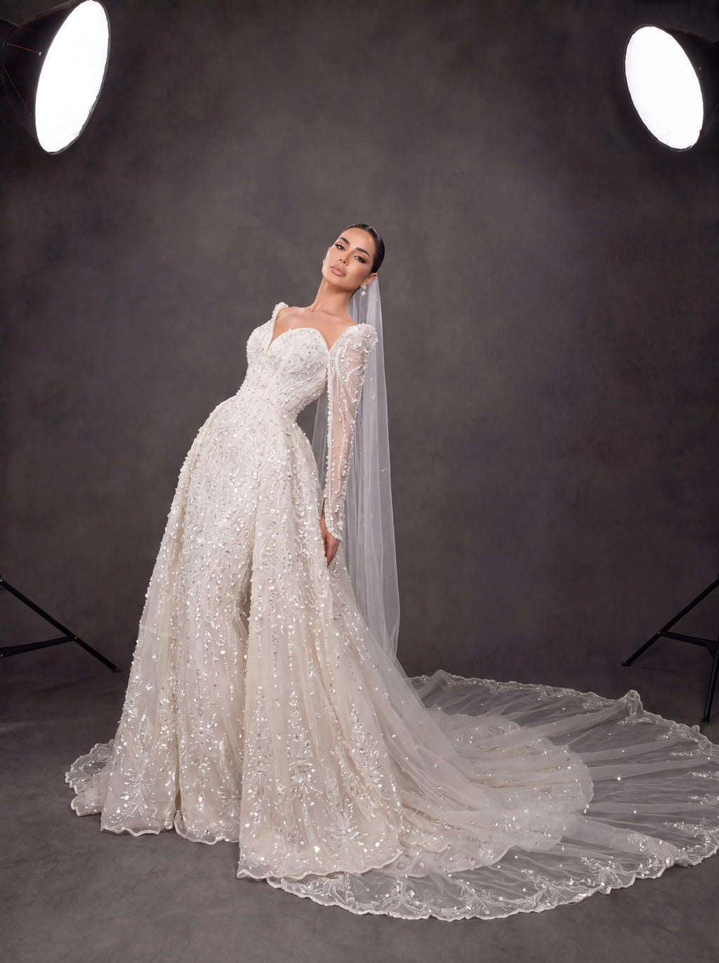Ivory Crystal Embellished Long Sleeve Wedding Gown – Sweetheart Corset Bridal Dress with Cathedral Veil & Train