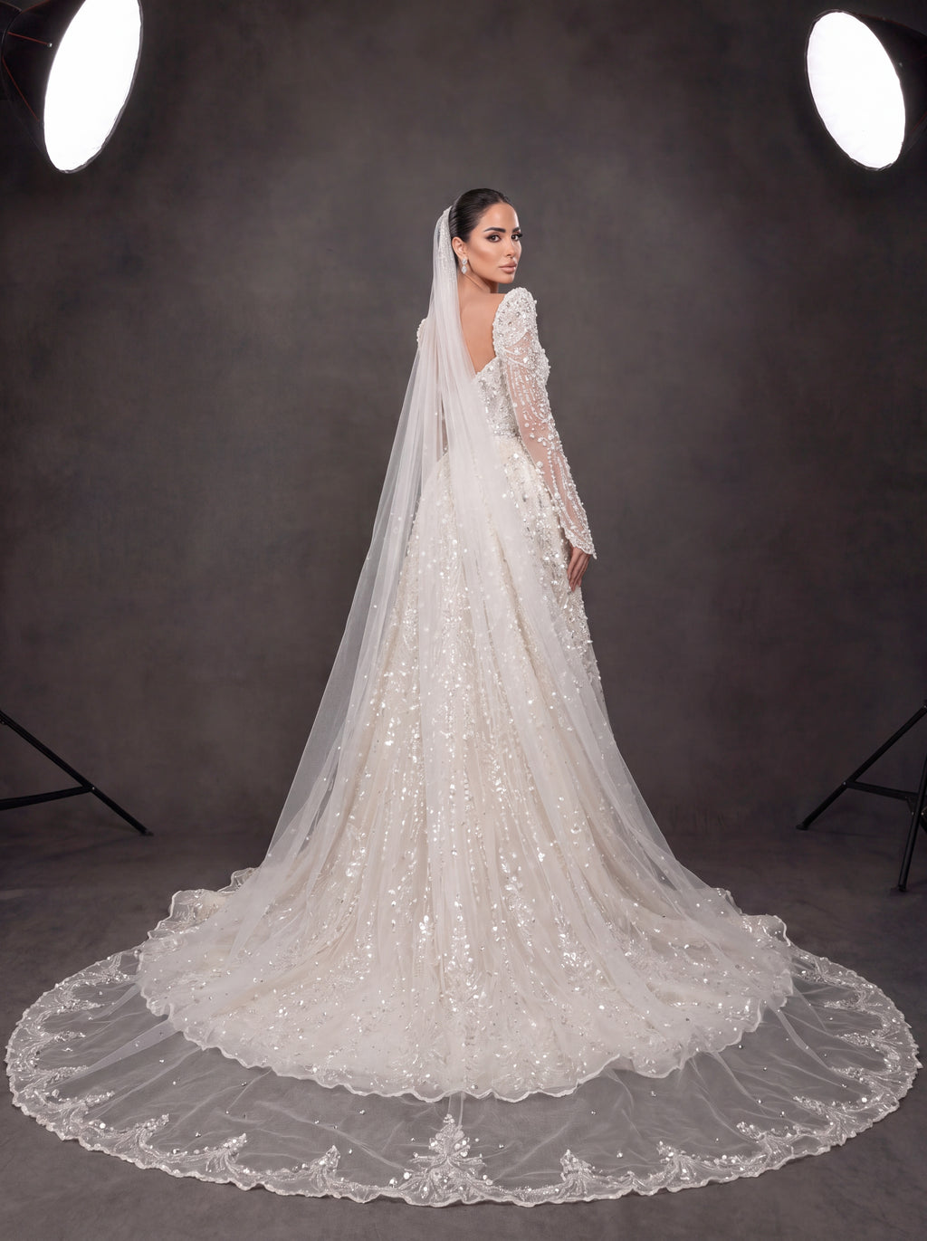 Ivory Crystal Embellished Long Sleeve Wedding Gown – Sweetheart Corset Bridal Dress with Cathedral Veil & Train