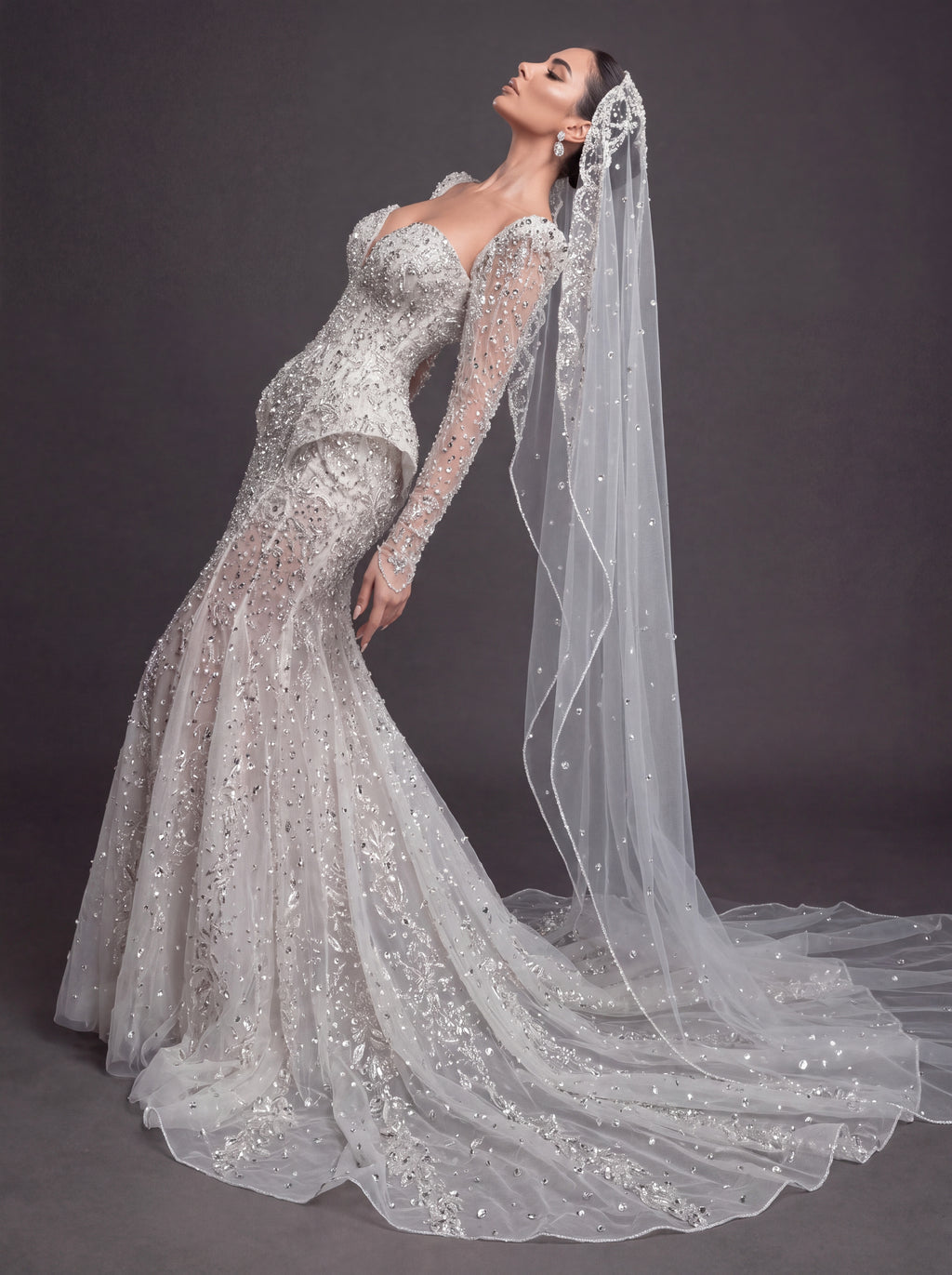 Long Sleeve Corset Bridal Dress with Sculpted Hips & Cathedral Veil – Ivory Crystal Embellished Mermaid Wedding Gown