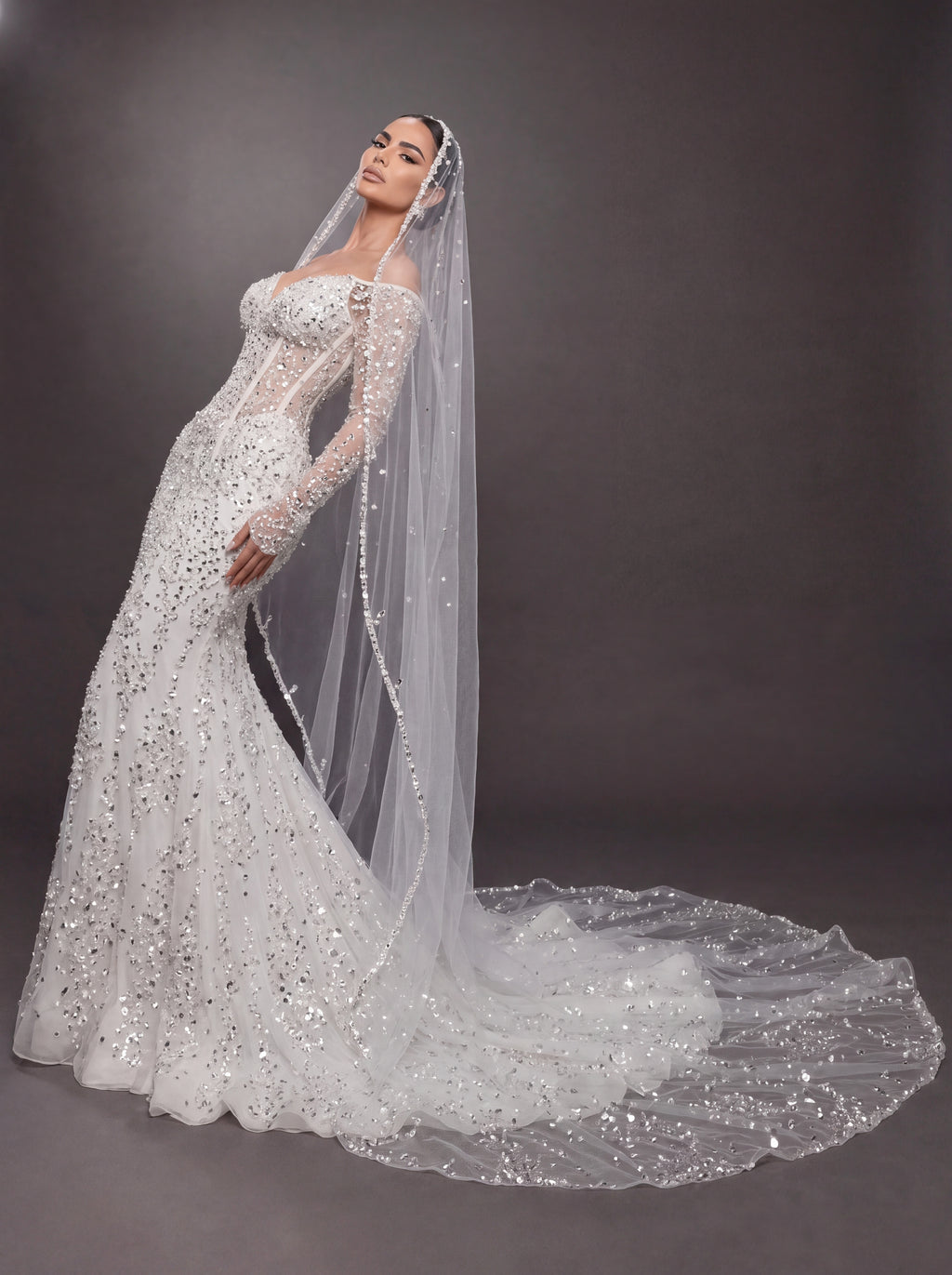Sheer Corset Bridal Dress with Long Sleeves & Cathedral Veil – Ivory Crystal Embellished Off-Shoulder Mermaid Wedding Gown
