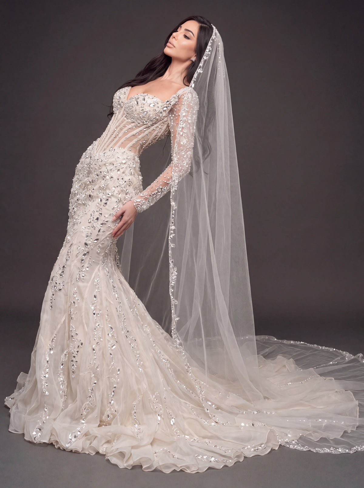 Sheer Sweetheart Bridal Dress with Long Sleeves & Cathedral Veil – Ivory Crystal Embellished Corset Mermaid Wedding Gown