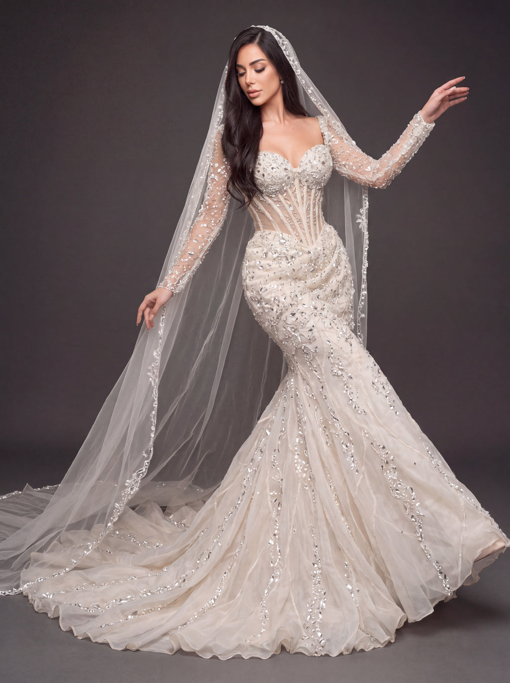 Sheer Sweetheart Bridal Dress with Long Sleeves & Cathedral Veil – Ivory Crystal Embellished Corset Mermaid Wedding Gown