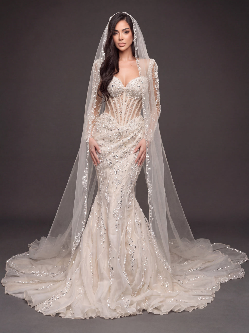 Sheer Sweetheart Bridal Dress with Long Sleeves & Cathedral Veil – Ivory Crystal Embellished Corset Mermaid Wedding Gown