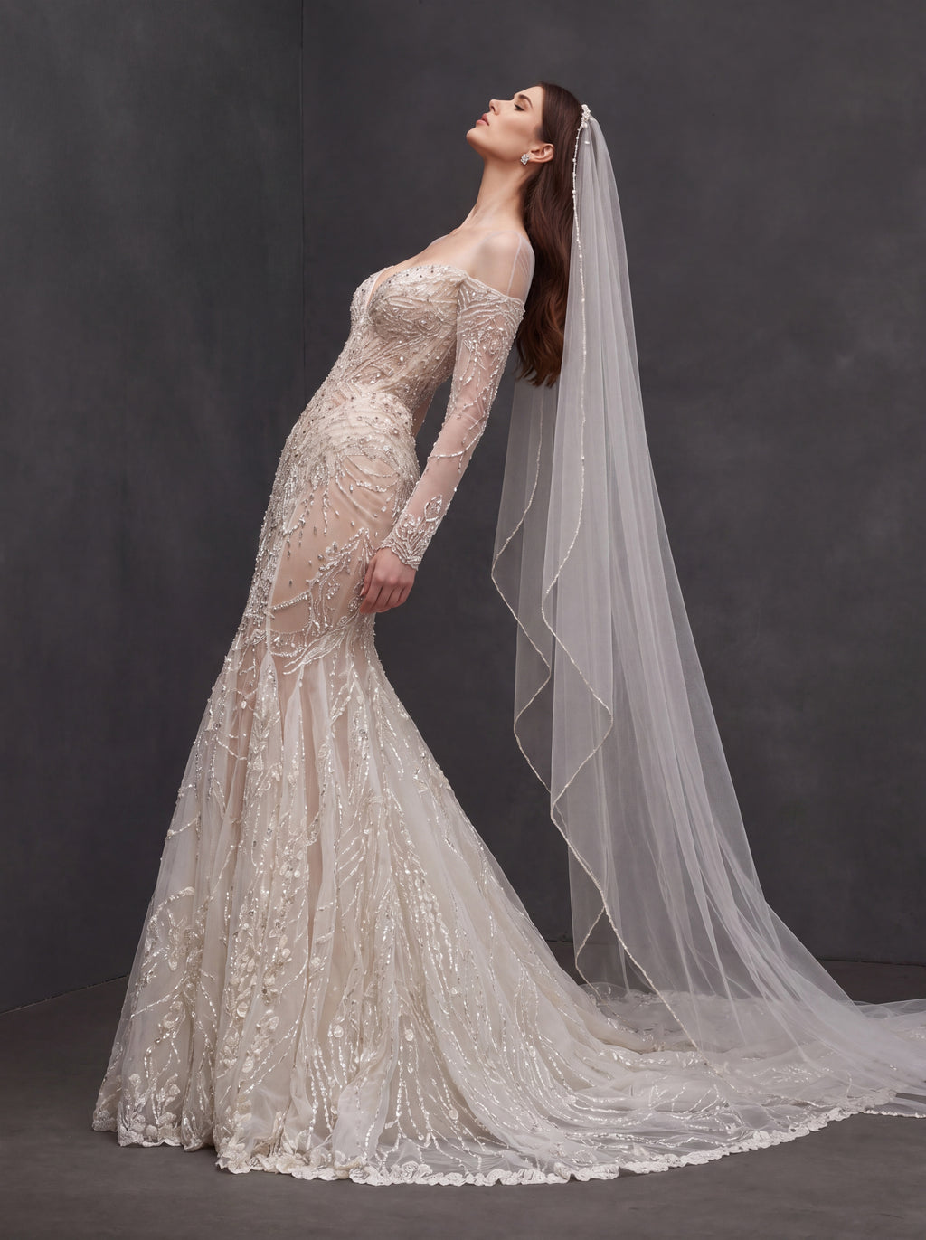 Champagne Illusion Lace Mermaid Wedding Dress – Off-Shoulder Crystal Embroidered Corset Bridal Gown with Sheer Sleeves and Cathedral Veil