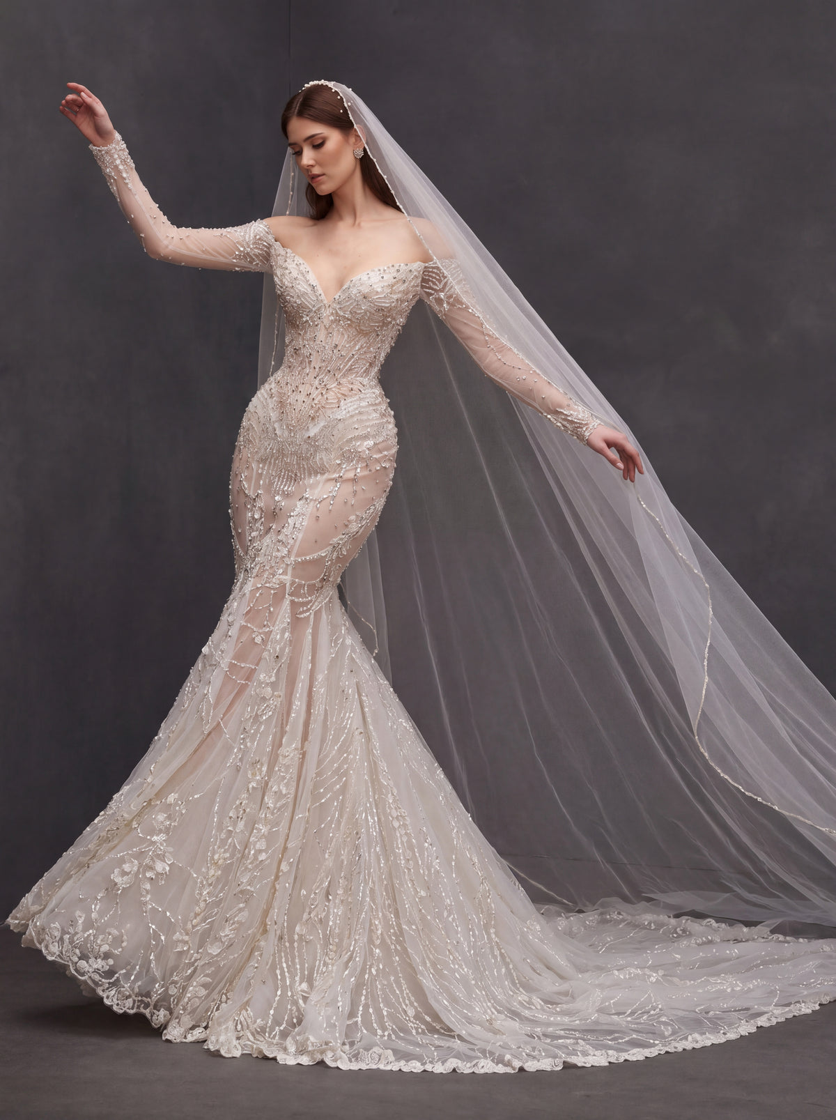 Champagne Illusion Lace Mermaid Wedding Dress – Off-Shoulder Crystal Embroidered Corset Bridal Gown with Sheer Sleeves and Cathedral Veil