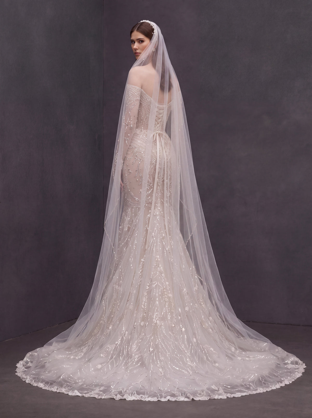 Champagne Illusion Lace Mermaid Wedding Dress – Off-Shoulder Crystal Embroidered Corset Bridal Gown with Sheer Sleeves and Cathedral Veil