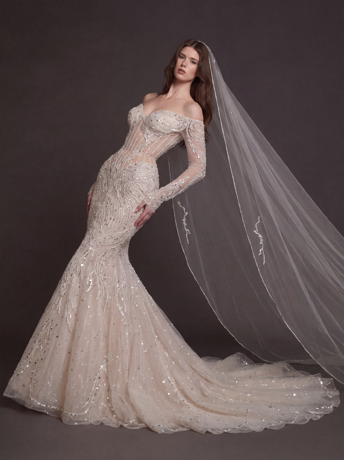 Nude Illusion Corset Mermaid Wedding Dress – Off-Shoulder Crystal Embroidered Bridal Gown with Sheer Long Sleeves and Cathedral Veil