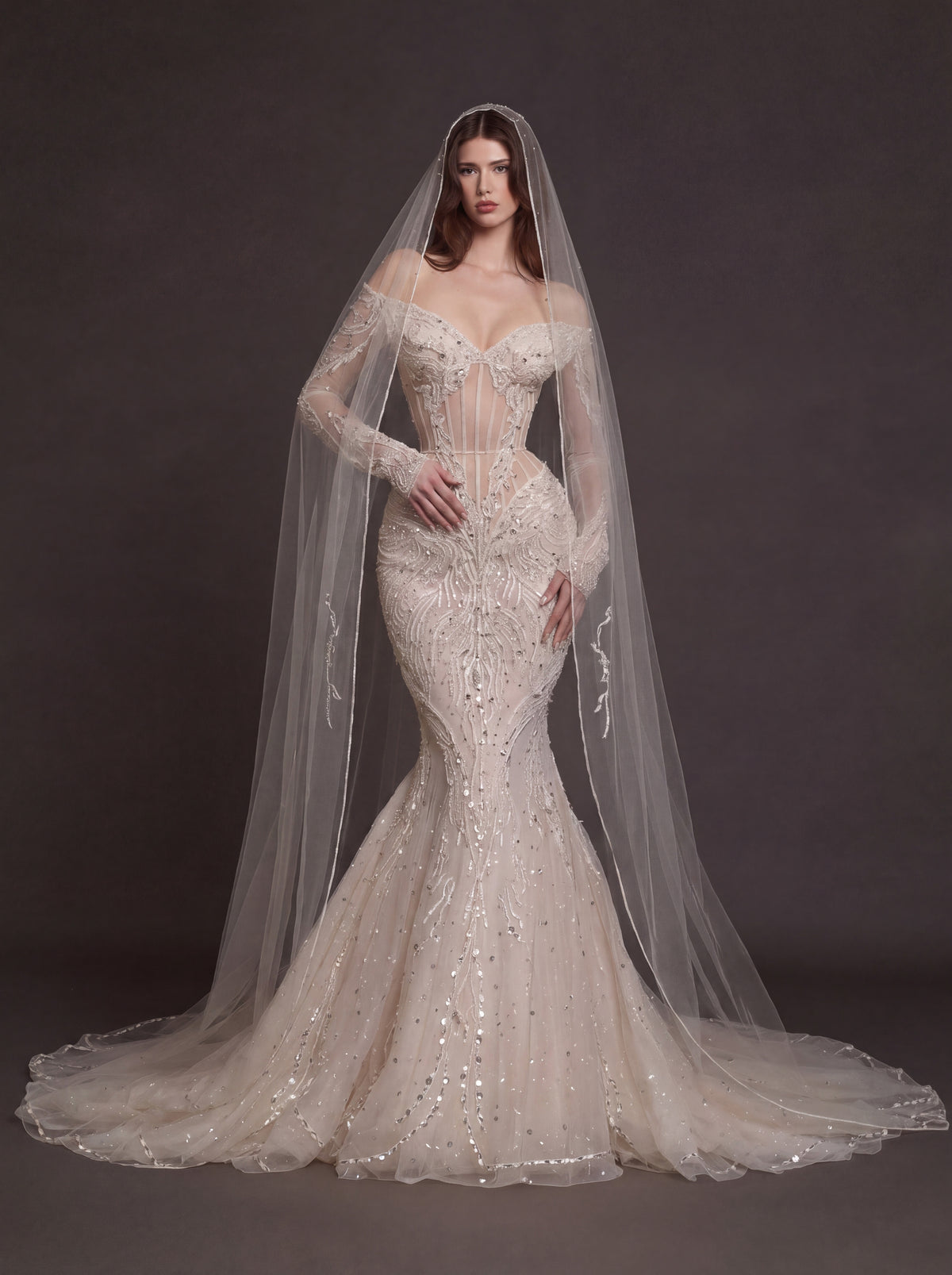 Nude Illusion Corset Mermaid Wedding Dress – Off-Shoulder Crystal Embroidered Bridal Gown with Sheer Long Sleeves and Cathedral Veil