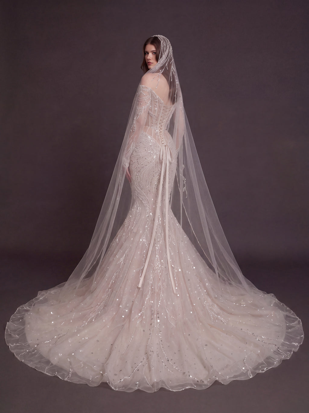 Nude Illusion Corset Mermaid Wedding Dress – Off-Shoulder Crystal Embroidered Bridal Gown with Sheer Long Sleeves and Cathedral Veil