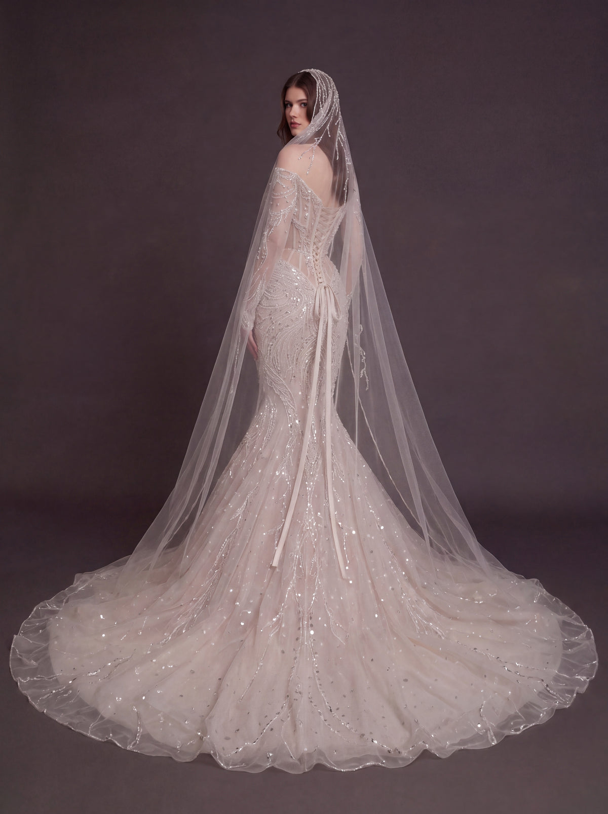 Nude Illusion Corset Mermaid Wedding Dress – Off-Shoulder Crystal Embroidered Bridal Gown with Sheer Long Sleeves and Cathedral Veil